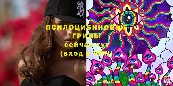 сатива Нея