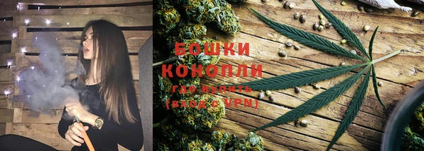 тгк Нефтекумск