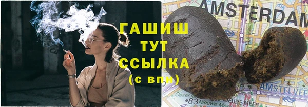 дживик Надым