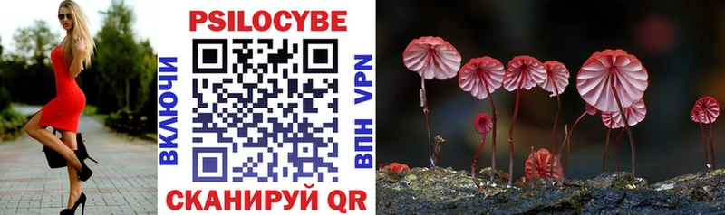 Купить закладки Касли Галлюциногенные грибы Psilocybe